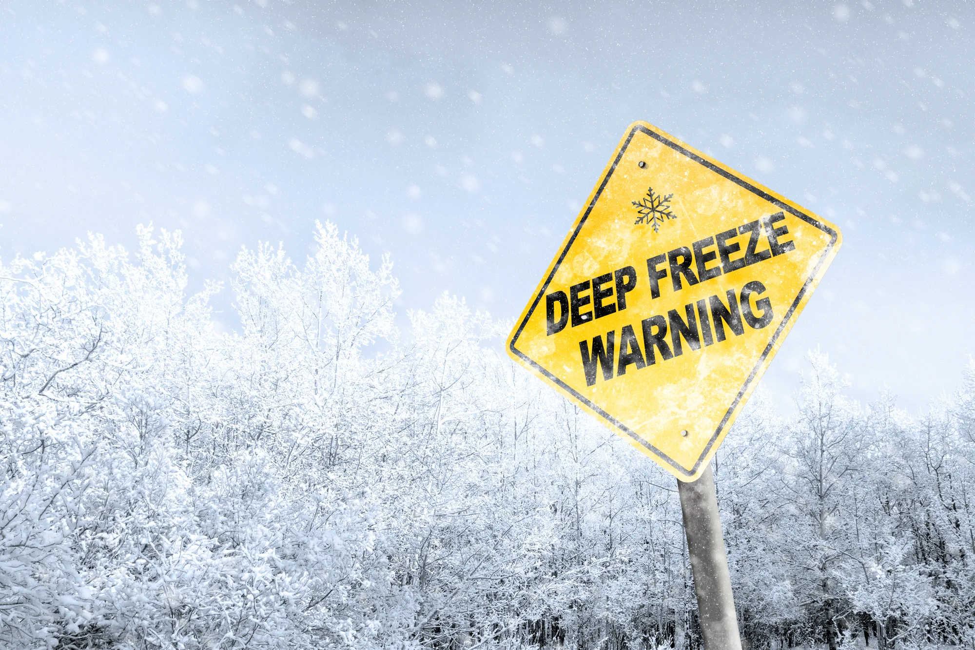 Polar Vortex Is Already Forming For 2026-2027 And A Super El Niño Could Disrupt It